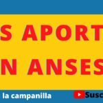 Consulta tus Aportes Jubilatorios en ANSES: Guía Rápida y Fácil